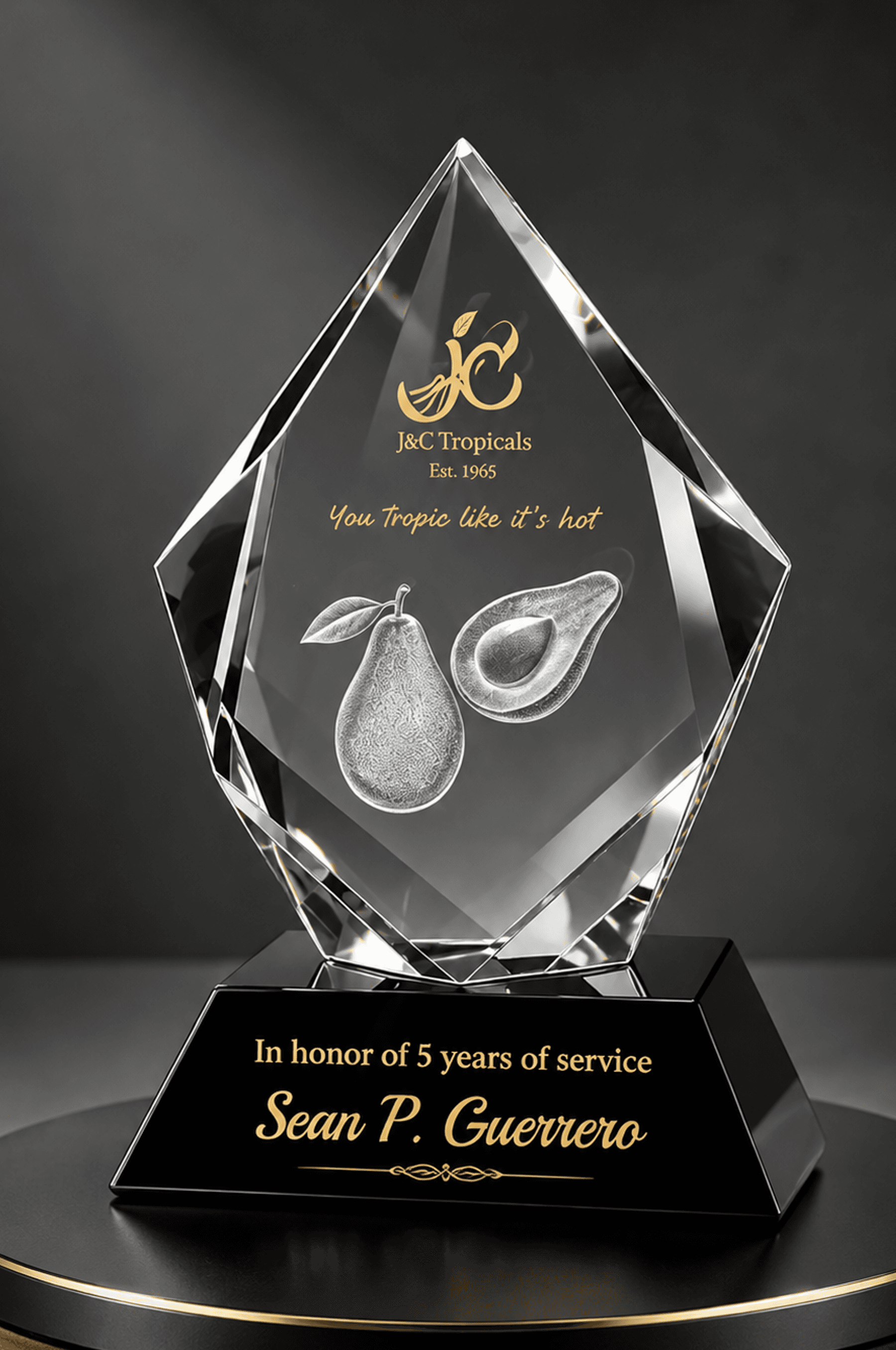 President & Executive crystal award 5