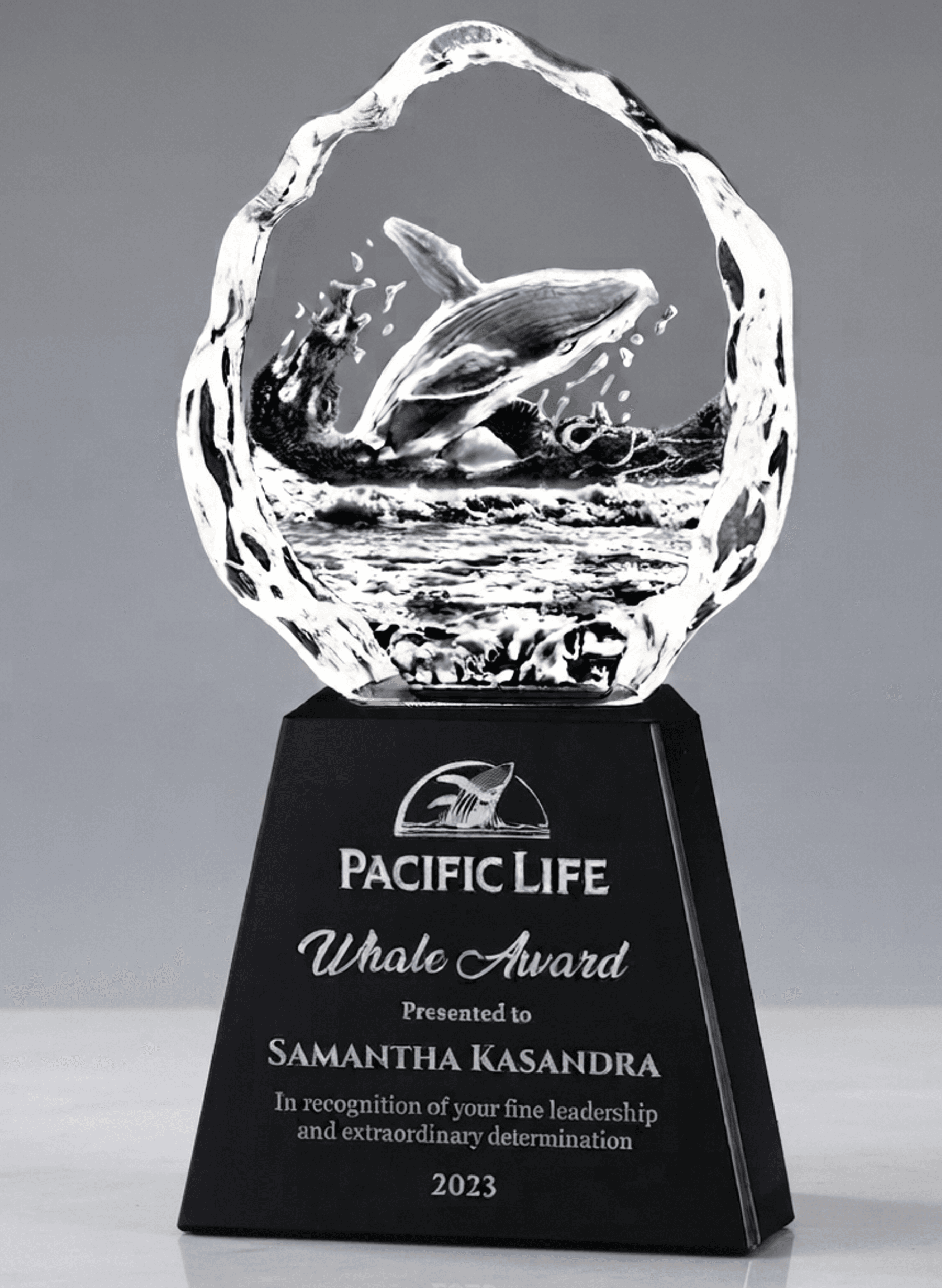 Animal crystal award 33