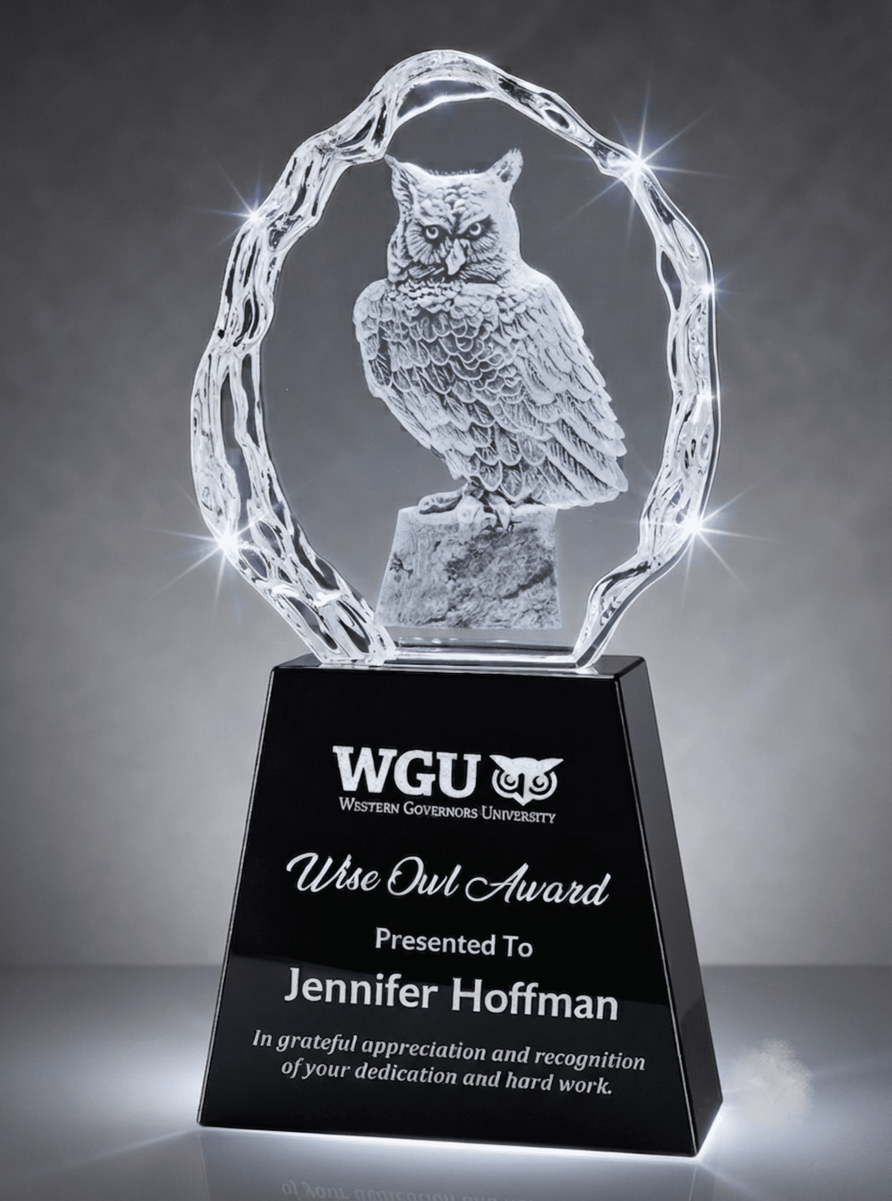Educational crystal award 9