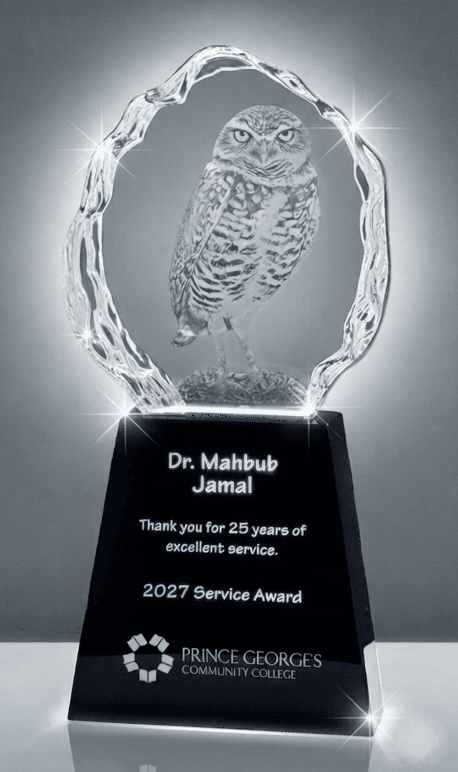 Educational crystal award 10