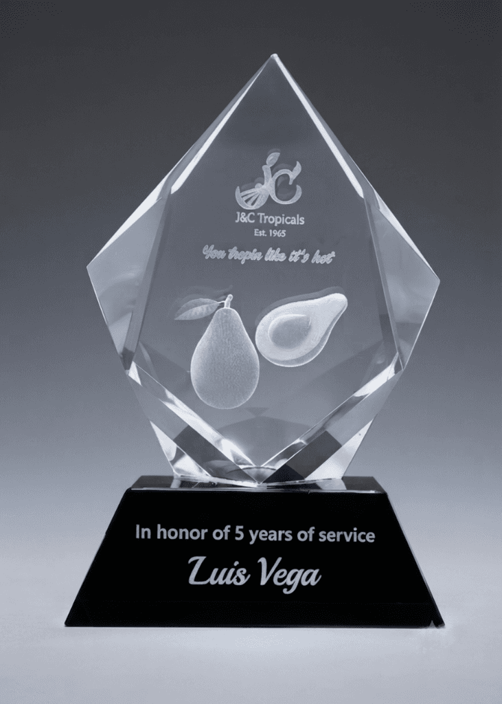 3D Crystal crystal award 19