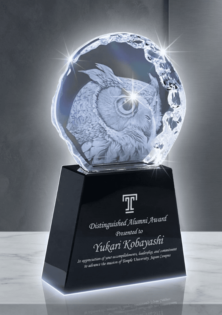 Educational crystal award 13