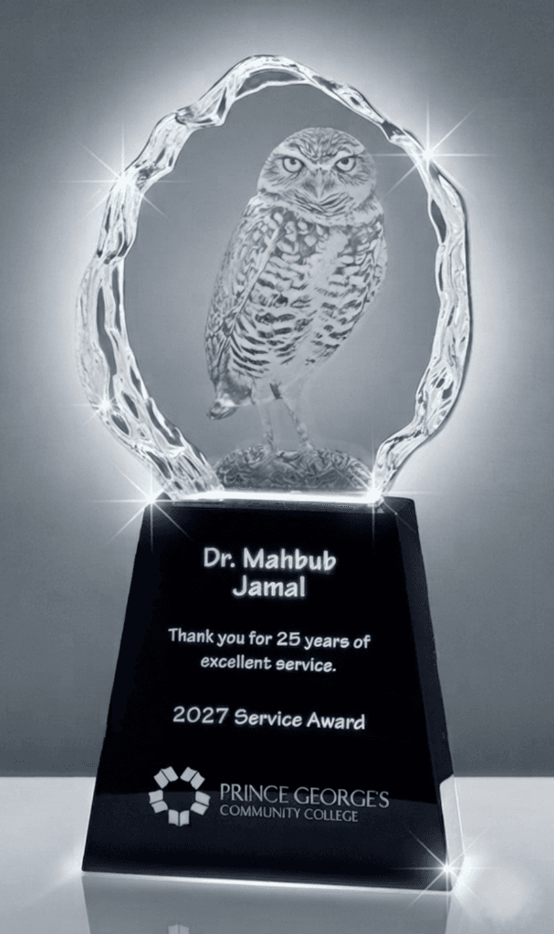 Educational crystal award 15