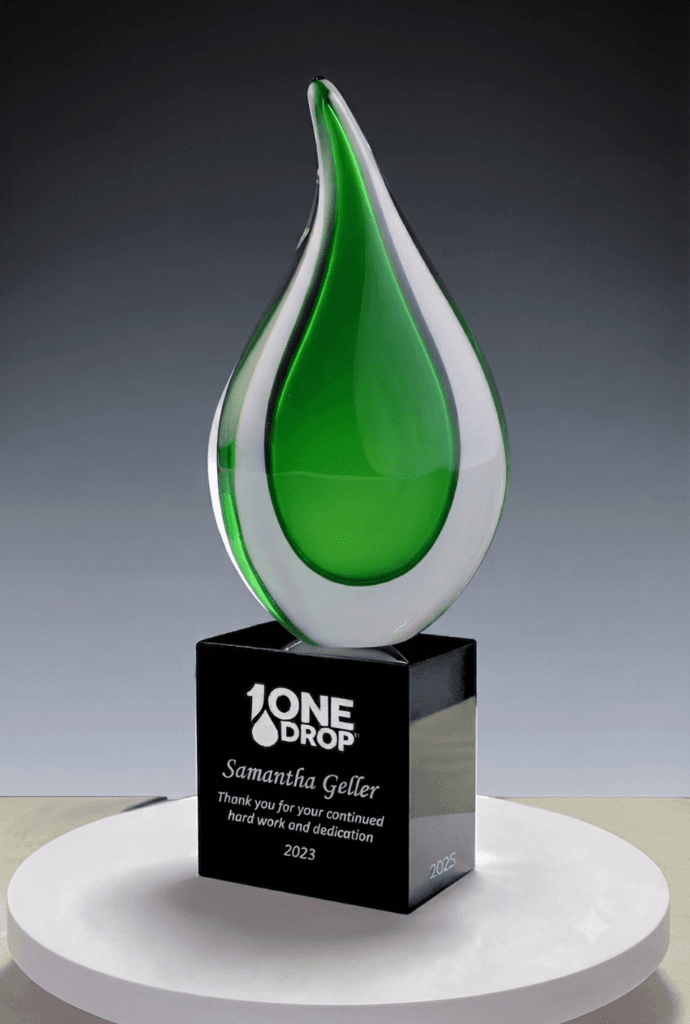 Handblown Art crystal award 8