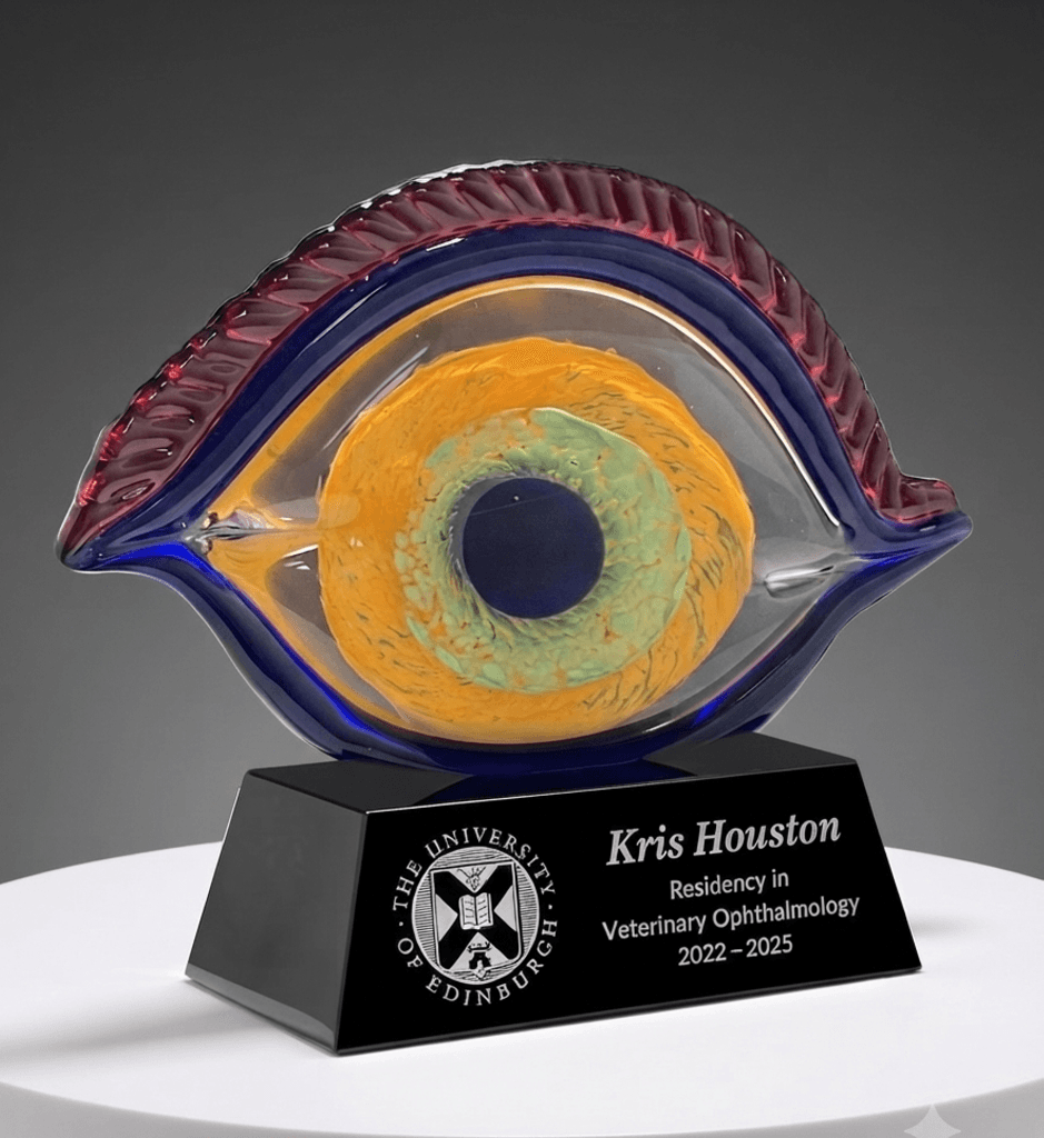 Handblown Art crystal award 4
