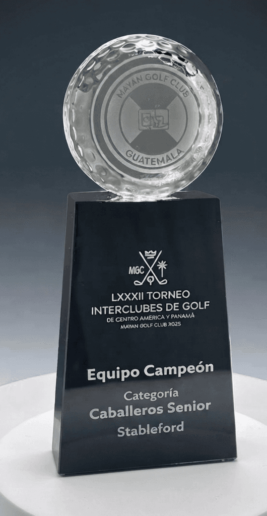 Sports crystal award 11