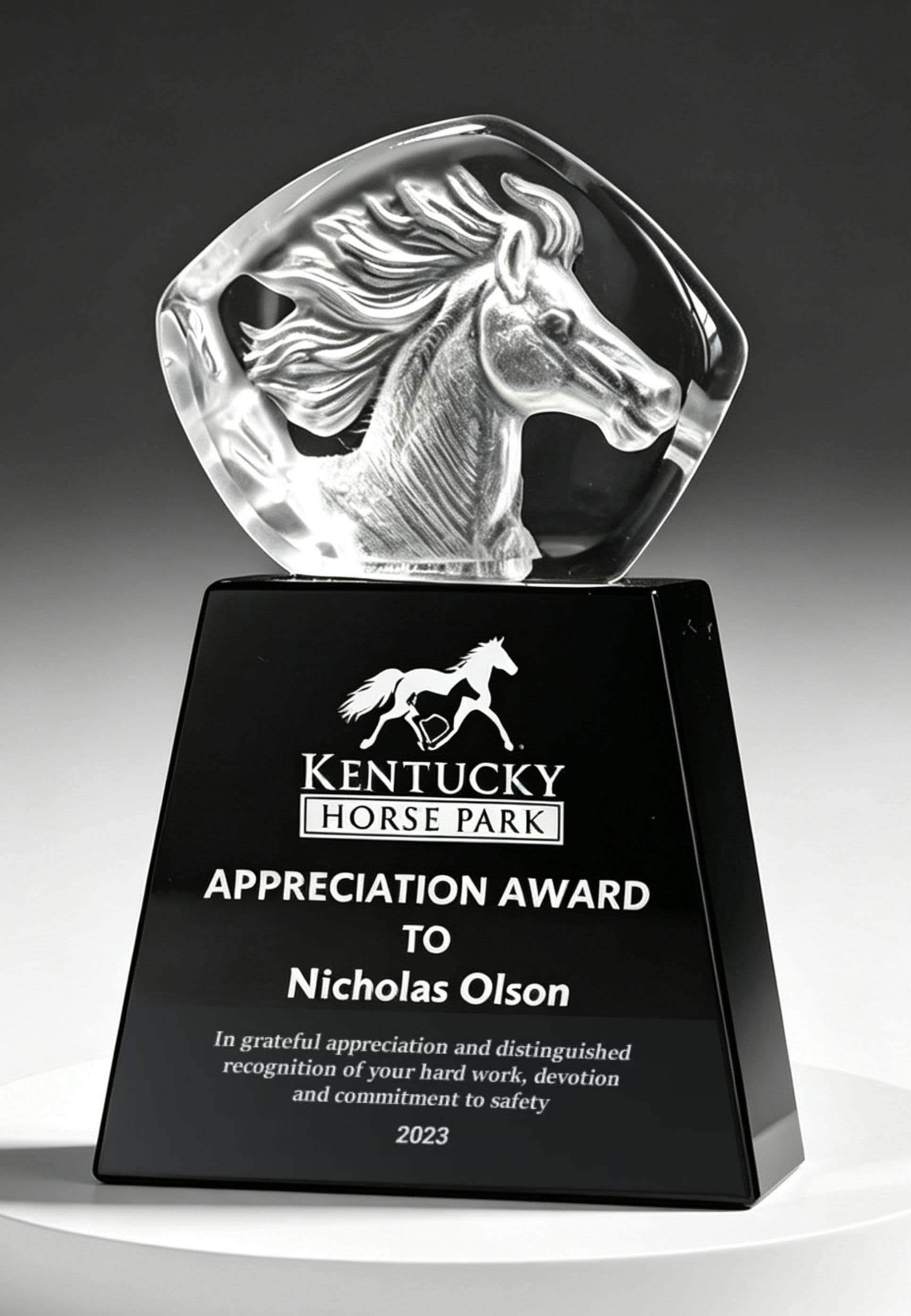 Animal crystal award 19