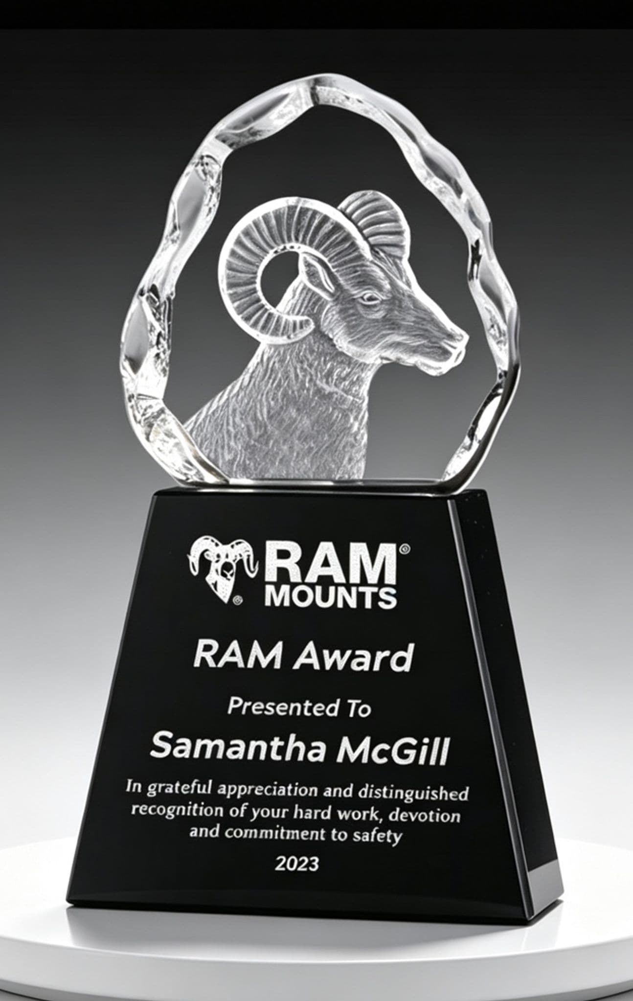 Animal crystal award 30