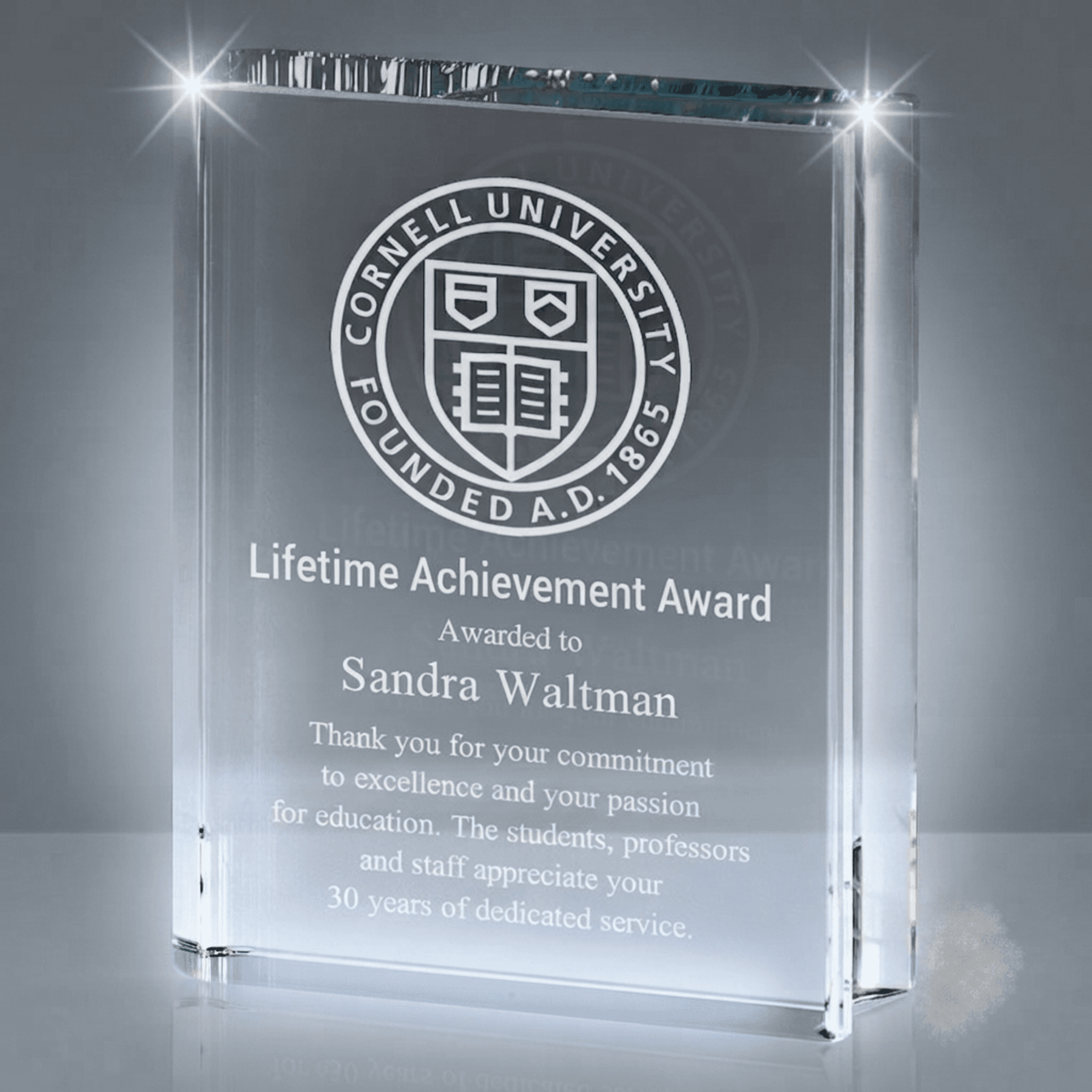 Office crystal award 28